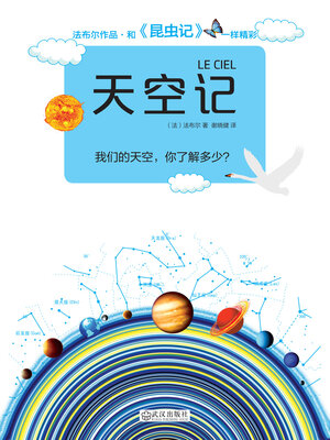 cover image of 天空记